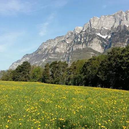 #103 On Walensee *